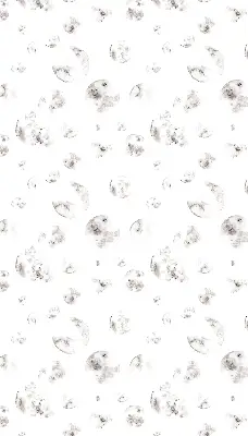 Stor geam interior Planete