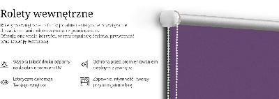 Stor geam interior violet