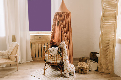 Stor geam interior violet