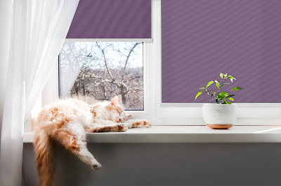 Stor geam interior violet