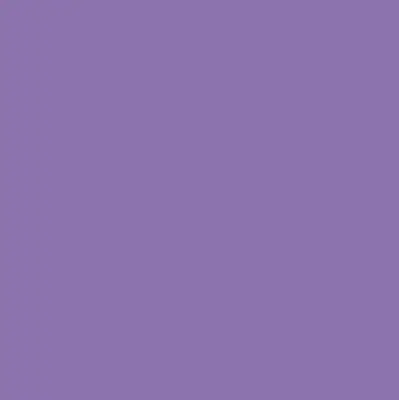 Stor geam interior violet