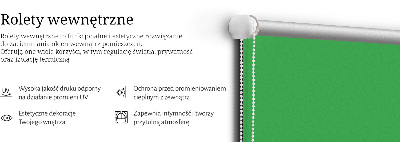 Stor geam interior verde
