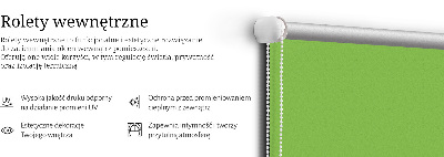 Stor pentru geam verde