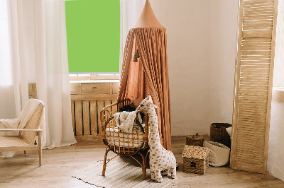 Stor pentru geam verde