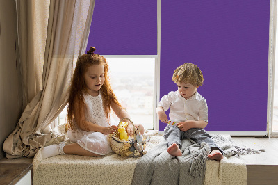 Stor geam interior violet