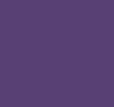 Storcător geam interior violet