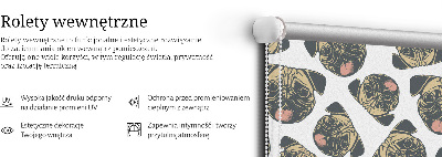 Jaluzele tip roleta bulldogi