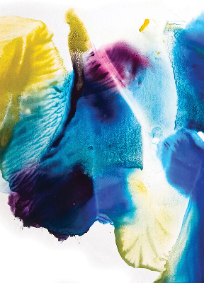 Stor pentru geam pictat