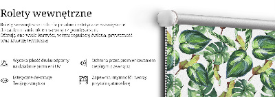 Stor geam interior plante tropicale