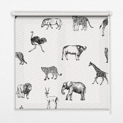 Stor geam interior animale