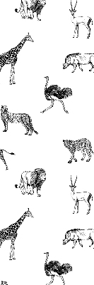 Stor geam interior animale