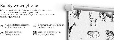 Stor geam interior animale
