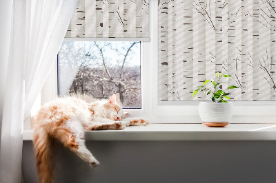 Jaluzele tip roletă în culoarea mesteacănului