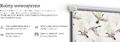 Rațe zburătoare pentru geam interior