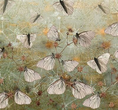 Jaluzele tip roletă cu model cu fluturi în pajiște