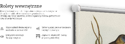 Stor geam interior două păsări pe o creangă