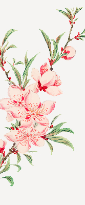Floare roz