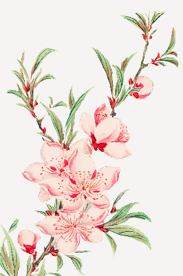 Floare roz