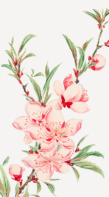 Floare roz