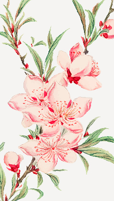Floare roz