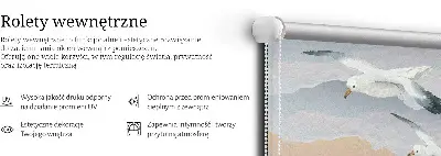 Stor geam interior păsări care zboară