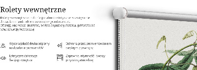 Stor geam interior cu floare roz