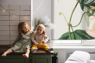 Stor geam interior cu floare roz