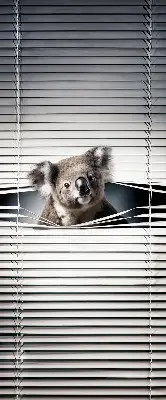 Stor geam interior koala