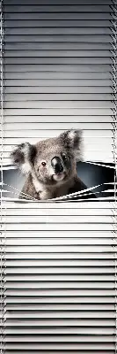 Stor geam interior koala