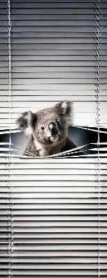 Stor geam interior koala