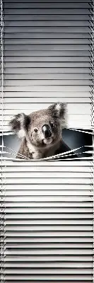 Stor geam interior koala