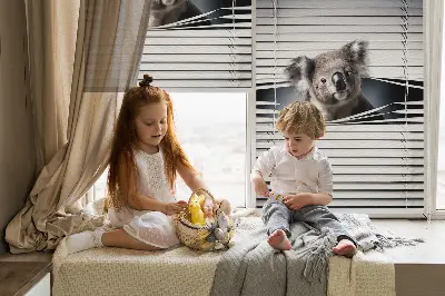 Stor geam interior koala