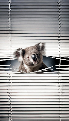 Stor geam interior koala