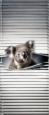 Stor geam interior koala