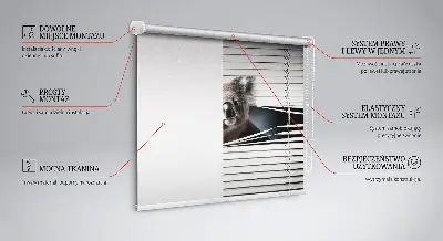 Stor geam interior koala