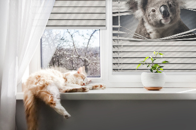 Stor geam interior koala