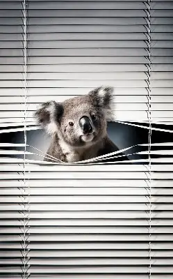 Stor geam interior koala