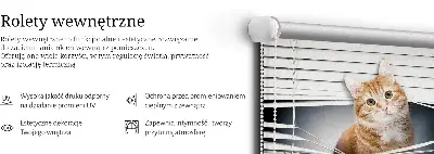 Jaluzele tip roletă cu model pisică roșie