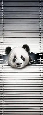 Stor pentru geam panda