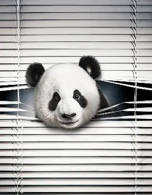 Stor pentru geam panda