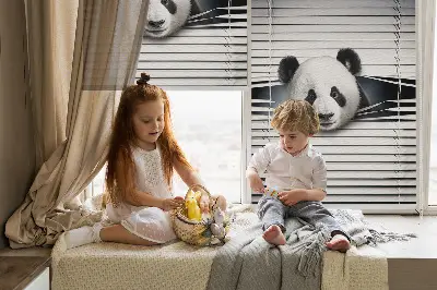 Stor pentru geam panda