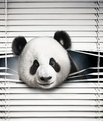 Stor pentru geam panda
