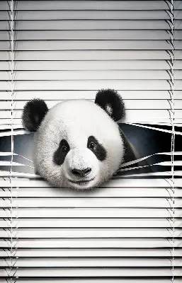 Stor pentru geam panda