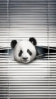 Stor pentru geam panda