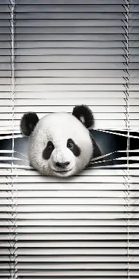 Stor pentru geam panda
