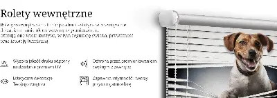 Jaluzele tip roletă pentru câine