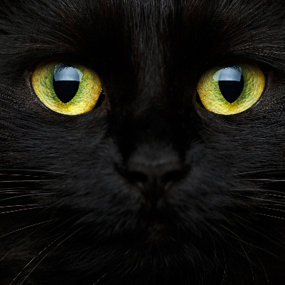 Roleta blackout cu model ochi de pisică