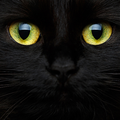 Roleta blackout cu model ochi de pisică