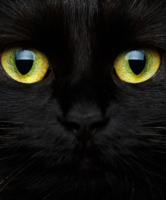 Roleta blackout cu model ochi de pisică