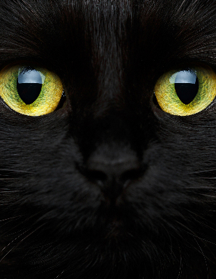 Roleta blackout cu model ochi de pisică